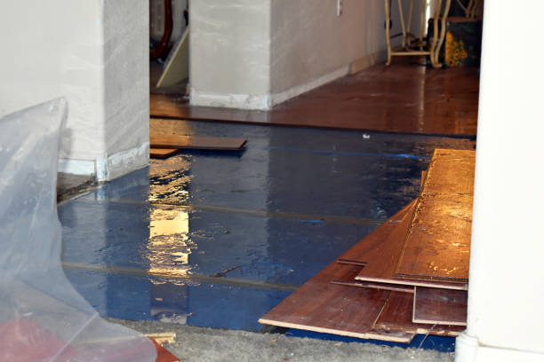 Professional Flood Damage Repair technician working in Amesville, OH